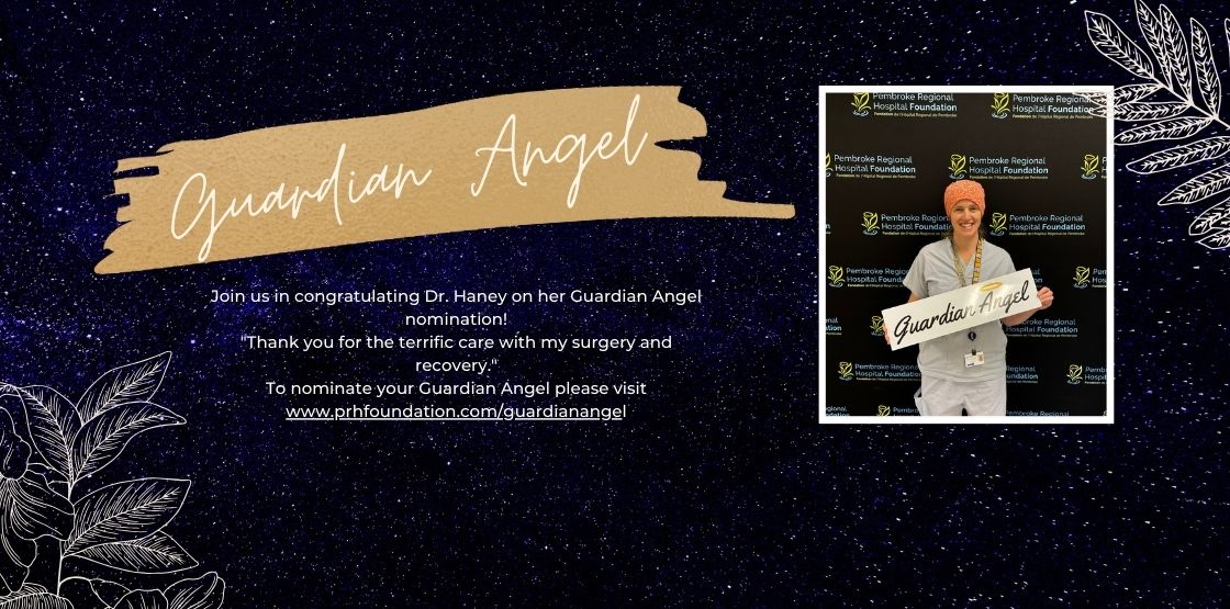 You are currently viewing Dr. Haney : Guardian Angel