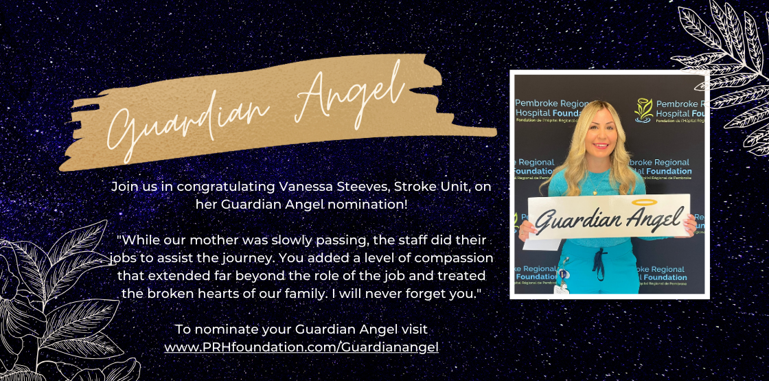 Read more about the article Vanessa Steeves: Guardian Angel