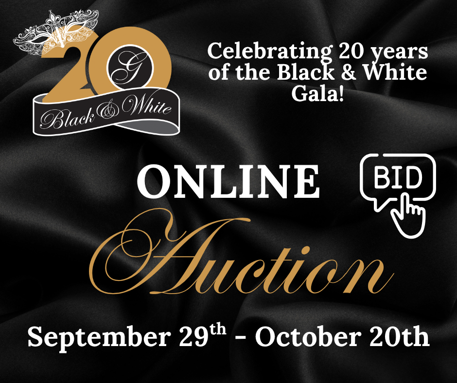 Online Auction Graphic